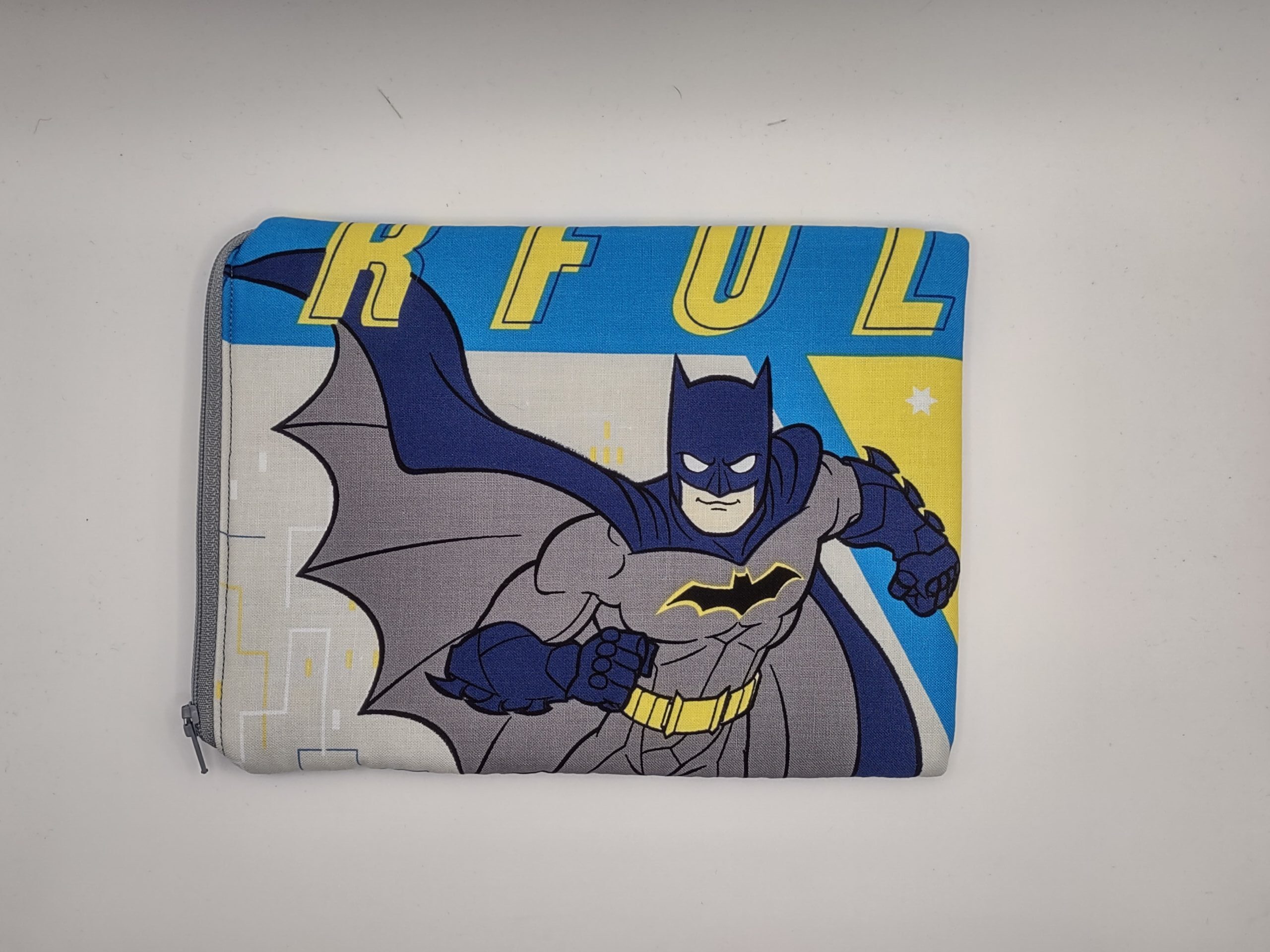 Batman_small_IMG_20250815_122249946_HDR