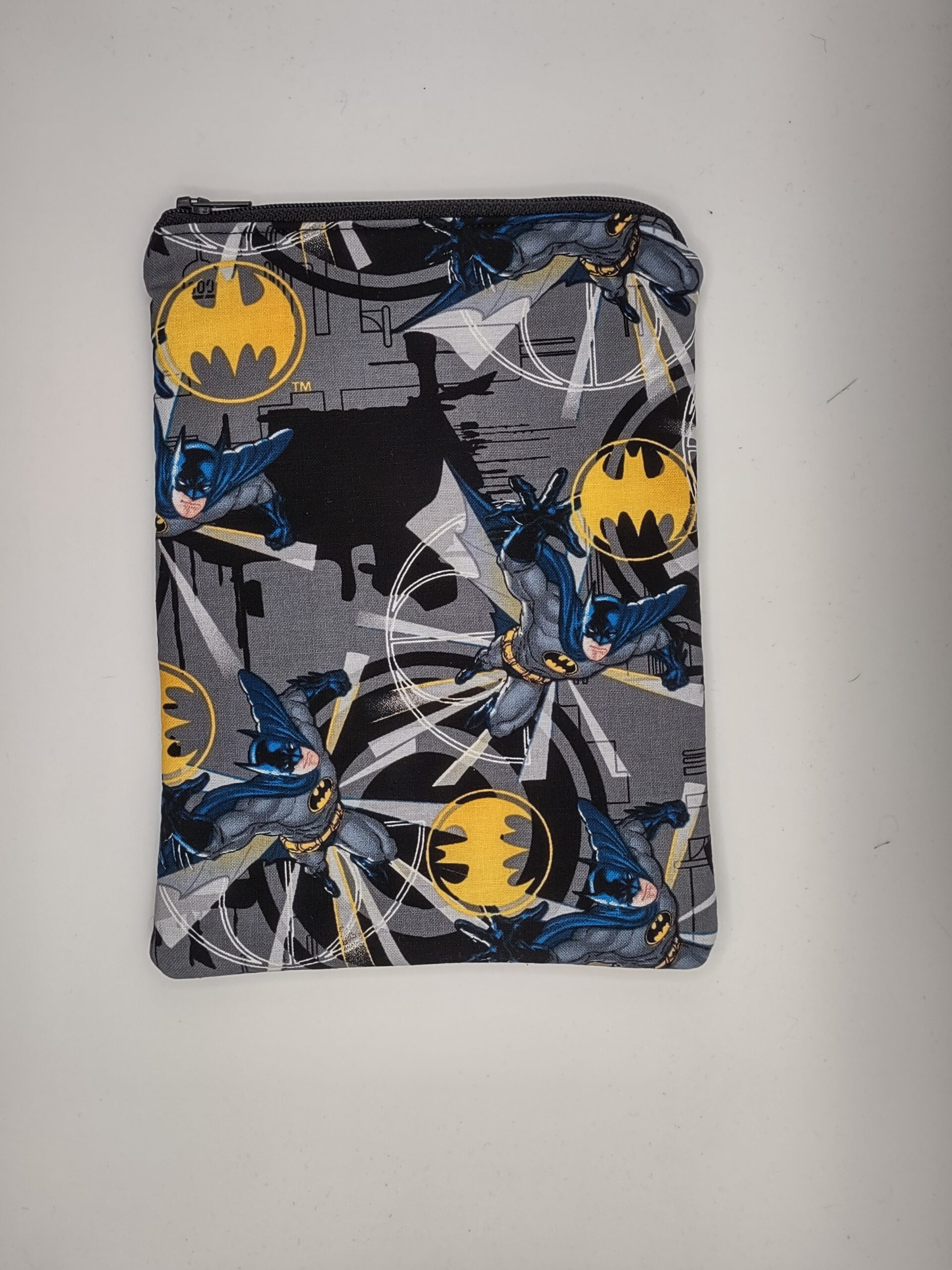 Batman_small_IMG_20250815_122634012_HDR