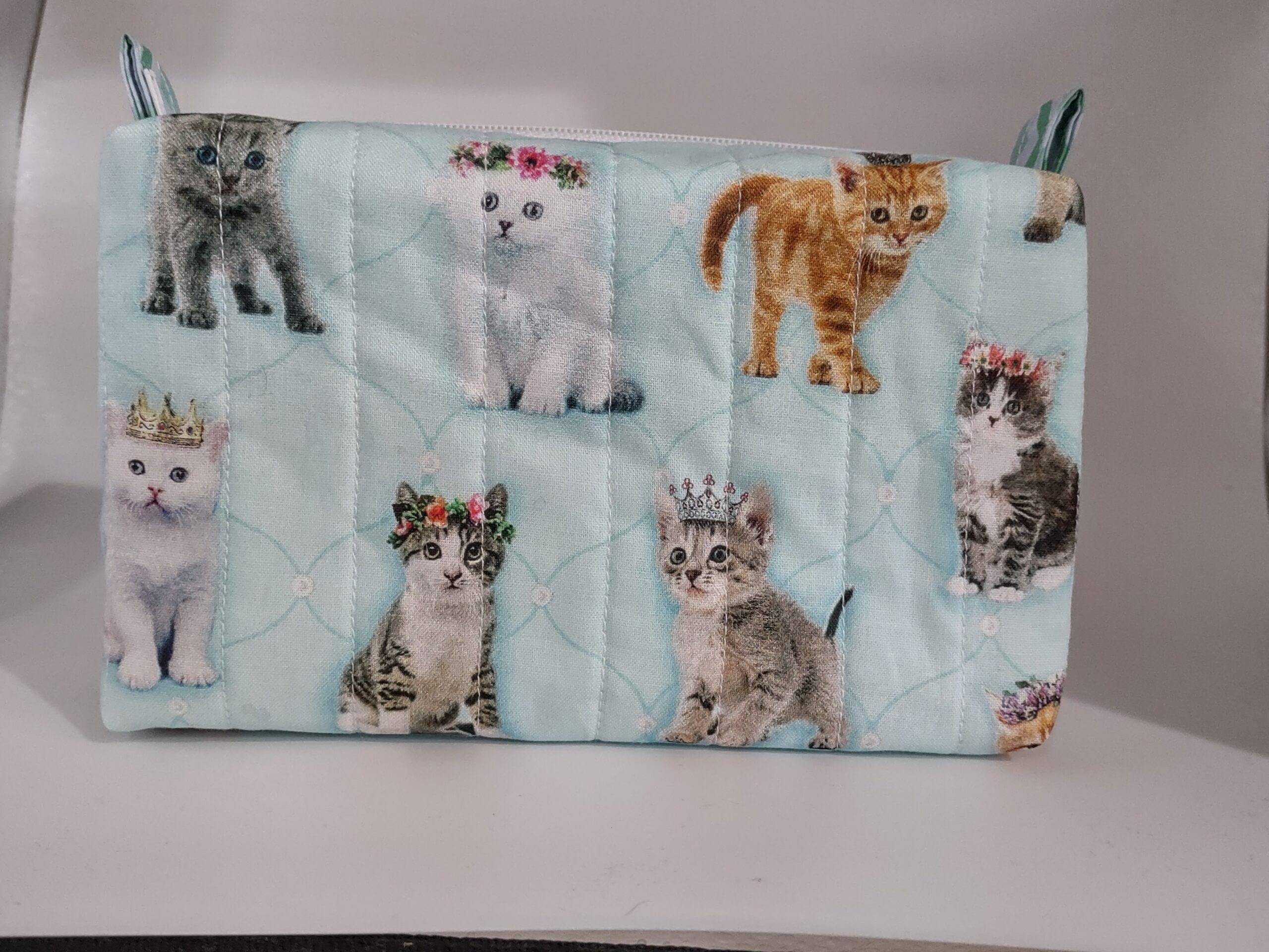 cats_boxy_20260518