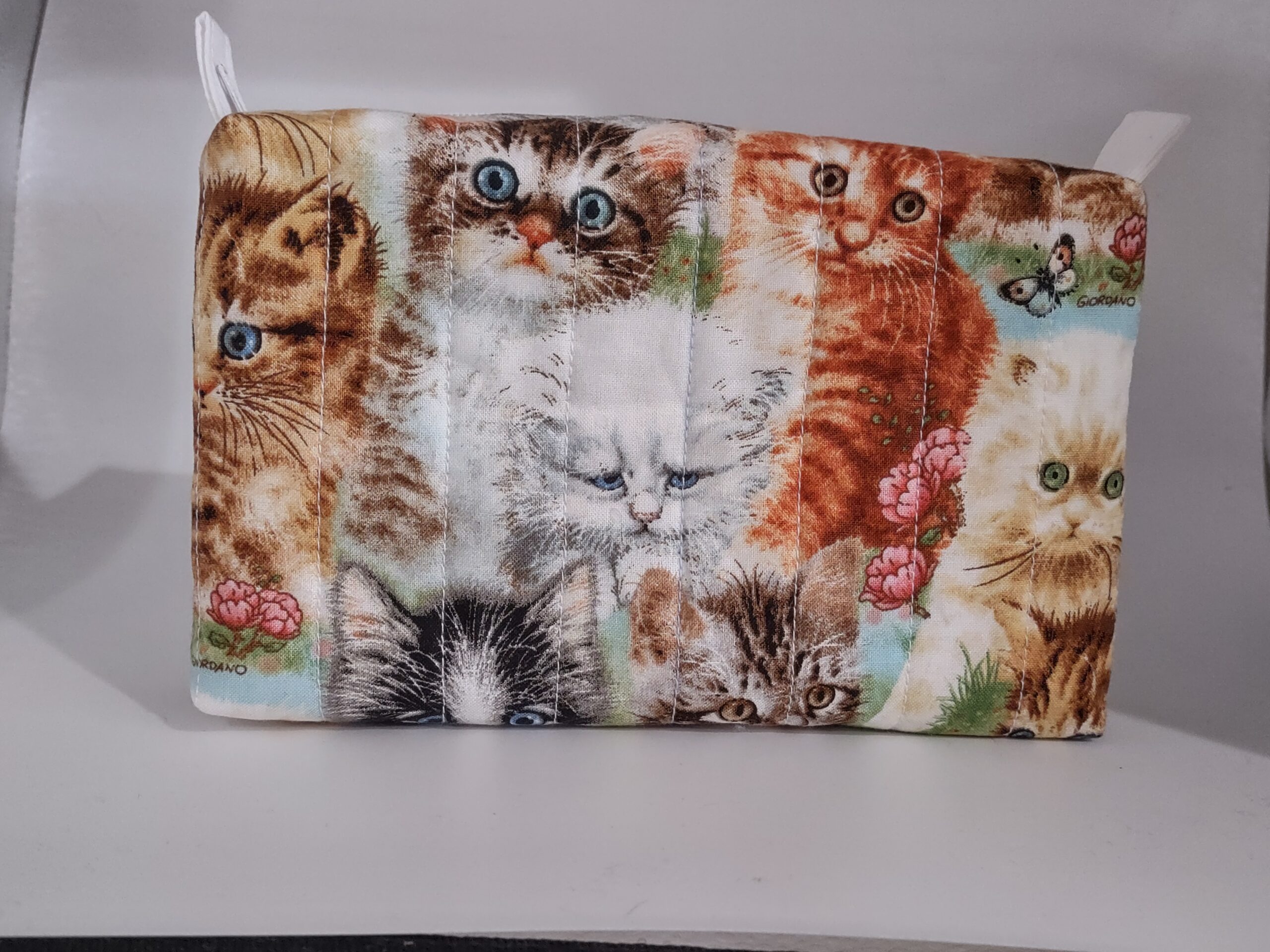 cats_boxy_20260518_185453769